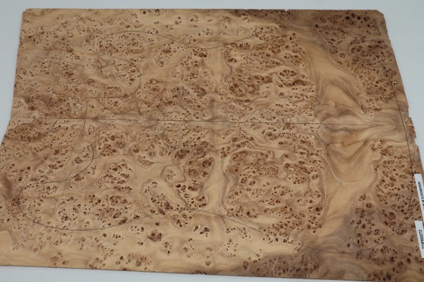 Wiąz Kaukaski Caucasian Elm drewniany top na gitarę guitar top