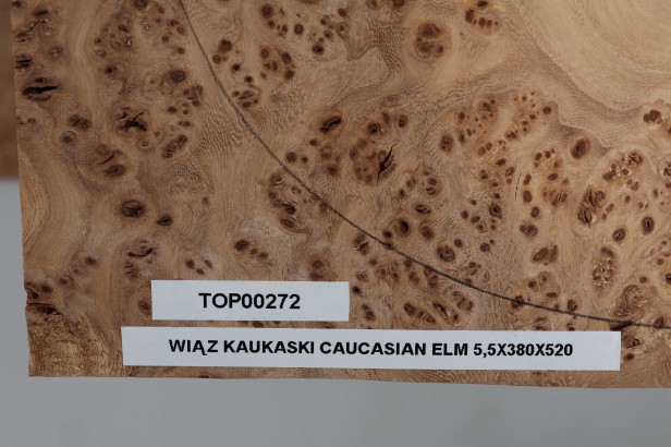 Wiąz Kaukaski Caucasian Elm drewniany top na gitarę guitar top