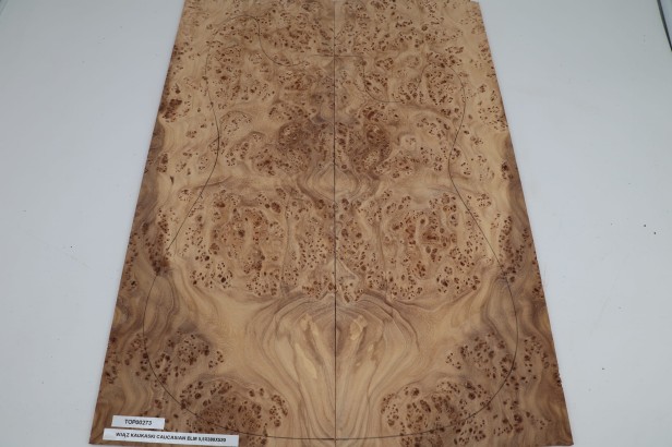 Wiąz Kaukaski Caucasian Elm drewniany top na gitarę guitar top