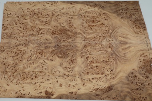 Wiąz Kaukaski Caucasian Elm drewniany top na gitarę guitar top