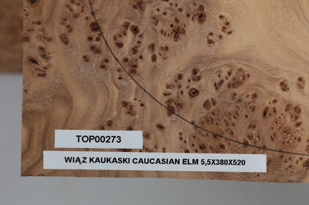 Wiąz Kaukaski Caucasian Elm drewniany top na gitarę guitar top