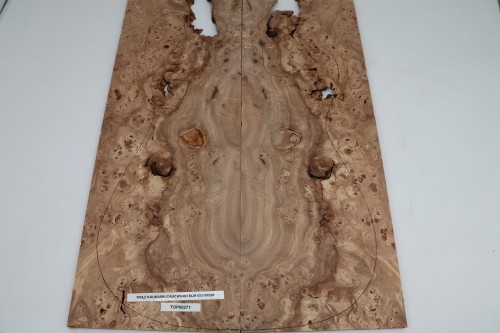 Wiąz Kaukaski Caucasian Elm drewniany top na gitarę guitar top