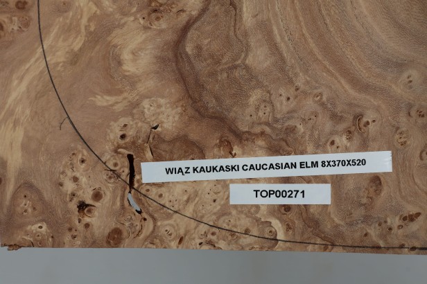 Wiąz Kaukaski Caucasian Elm drewniany top na gitarę guitar top