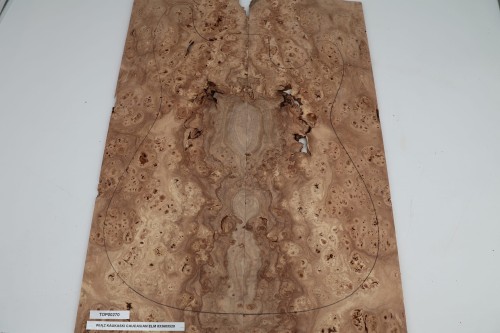 Wiąz Kaukaski Caucasian Elm drewniany top na gitarę guitar top