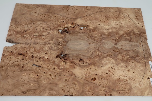 Wiąz Kaukaski Caucasian Elm drewniany top na gitarę guitar top