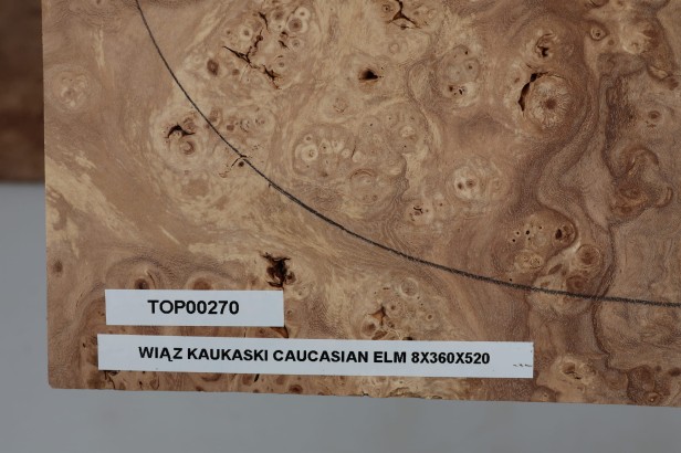 Wiąz Kaukaski Caucasian Elm drewniany top na gitarę guitar top
