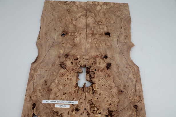 Wiąz Kaukaski Caucasian Elm drewniany top na gitarę guitar top