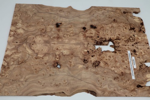 Wiąz Kaukaski Caucasian Elm drewniany top na gitarę guitar top