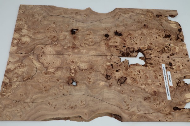 Wiąz Kaukaski Caucasian Elm drewniany top na gitarę guitar top