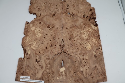 Wiąz Kaukaski Caucasian Elm drewniany top na gitarę guitar top