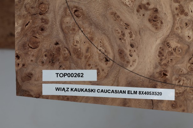 Wiąz Kaukaski Caucasian Elm drewniany top na gitarę guitar top