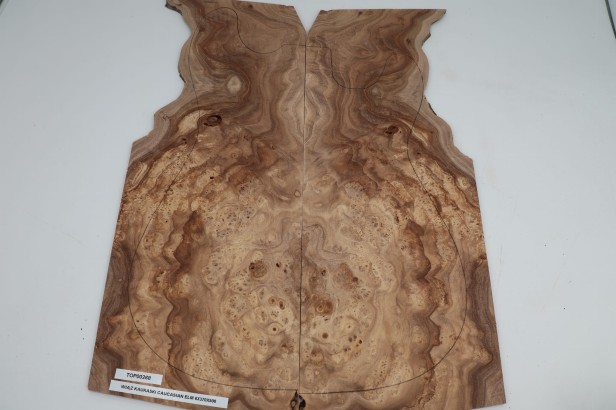 Wiąz Kaukaski Caucasian Elm drewniany top na gitarę guitar top