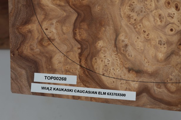 Wiąz Kaukaski Caucasian Elm drewniany top na gitarę guitar top