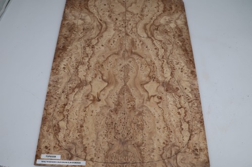 Wiąz Kaukaski Caucasian Elm drewniany top na gitarę guitar top