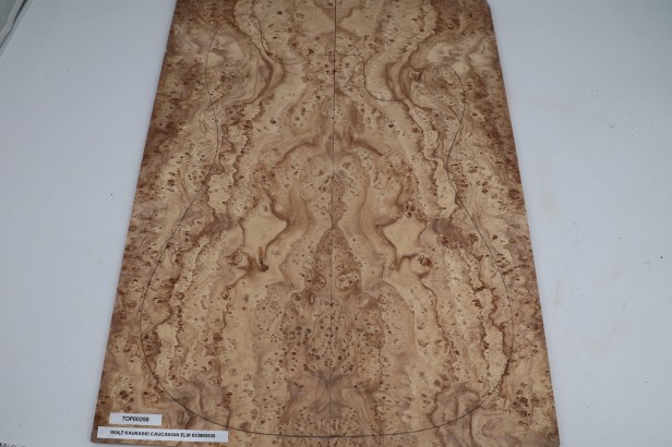 Wiąz Kaukaski Caucasian Elm drewniany top na gitarę guitar top
