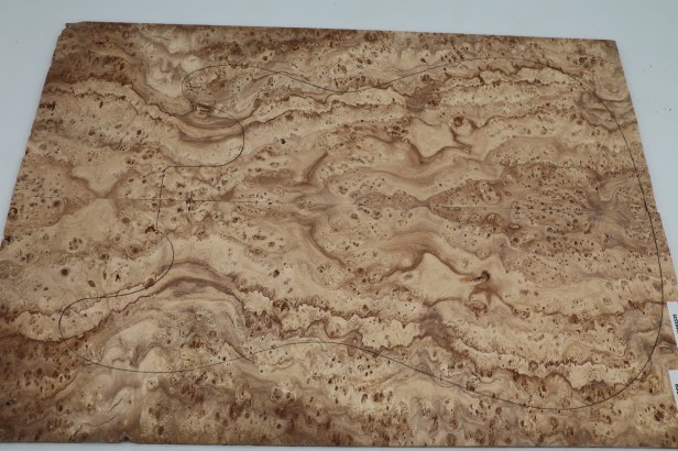 Wiąz Kaukaski Caucasian Elm drewniany top na gitarę guitar top