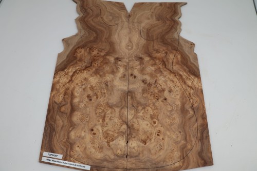 Wiąz Kaukaski Caucasian Elm drewniany top na gitarę guitar top