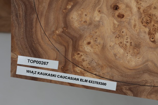Wiąz Kaukaski Caucasian Elm drewniany top na gitarę guitar top