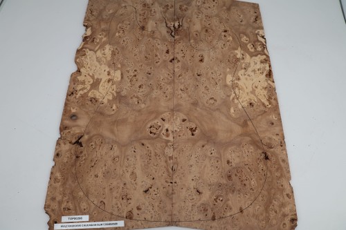 Wiąz Kaukaski Caucasian Elm drewniany top na gitarę guitar top