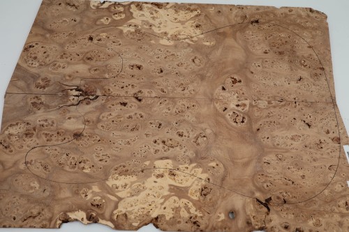 Wiąz Kaukaski Caucasian Elm drewniany top na gitarę guitar top