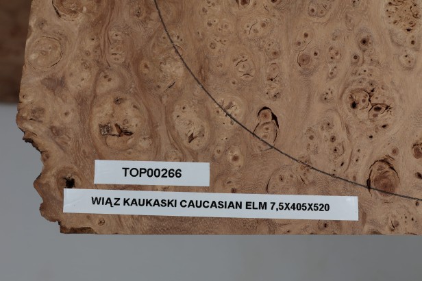 Wiąz Kaukaski Caucasian Elm drewniany top na gitarę guitar top