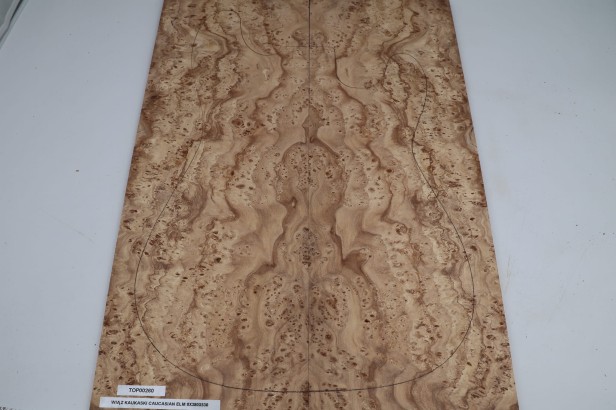 Wiąz Kaukaski Caucasian Elm drewniany top na gitarę guitar top