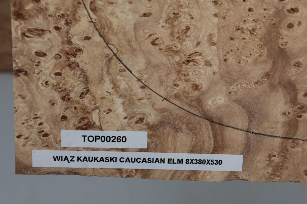 Wiąz Kaukaski Caucasian Elm drewniany top na gitarę guitar top