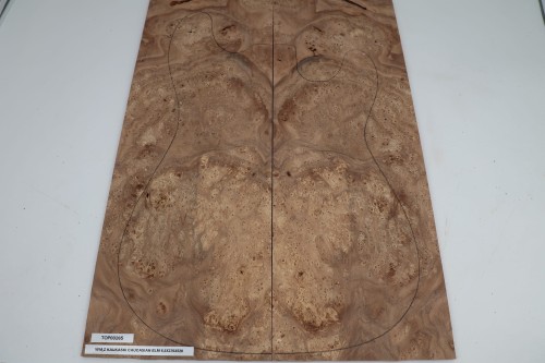 Wiąz Kaukaski Caucasian Elm drewniany top na gitarę guitar top