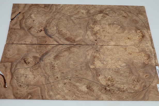 Wiąz Kaukaski Caucasian Elm drewniany top na gitarę guitar top