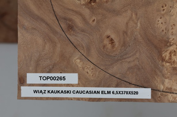 Wiąz Kaukaski Caucasian Elm drewniany top na gitarę guitar top