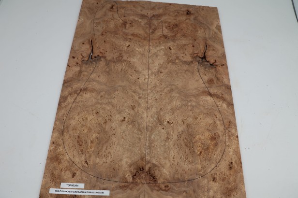 Wiąz Kaukaski Caucasian Elm drewniany top na gitarę guitar top