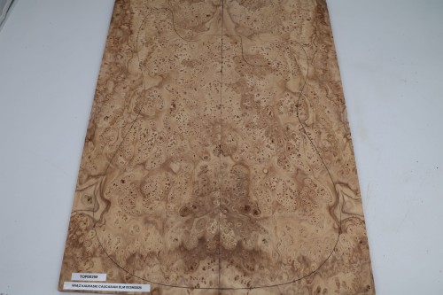 Wiąz Kaukaski Caucasian Elm drewniany top na gitarę guitar top