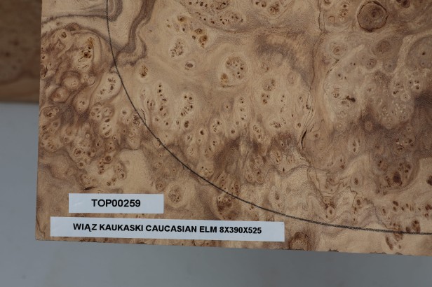 Wiąz Kaukaski Caucasian Elm drewniany top na gitarę guitar top