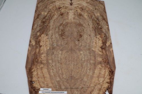 Wiąz Kaukaski Caucasian Elm drewniany top na gitarę guitar top