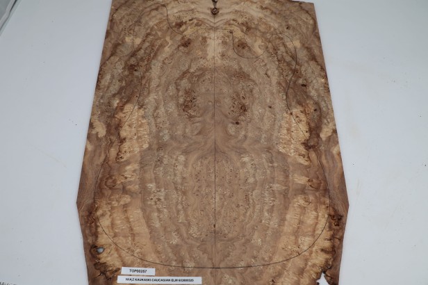 Wiąz Kaukaski Caucasian Elm drewniany top na gitarę guitar top