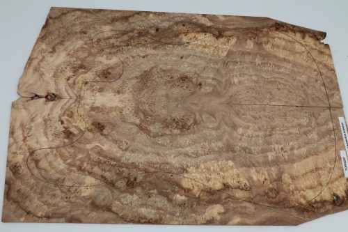 Wiąz Kaukaski Caucasian Elm drewniany top na gitarę guitar top