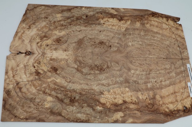 Wiąz Kaukaski Caucasian Elm drewniany top na gitarę guitar top