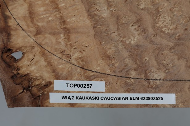 Wiąz Kaukaski Caucasian Elm drewniany top na gitarę guitar top
