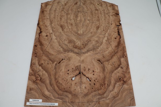 Wiąz Kaukaski Caucasian Elm drewniany top na gitarę guitar top