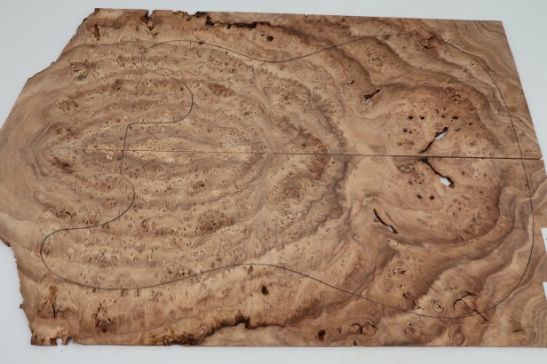 Wiąz Kaukaski Caucasian Elm drewniany top na gitarę guitar top