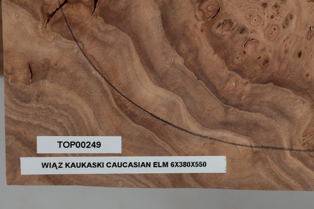 Wiąz Kaukaski Caucasian Elm drewniany top na gitarę guitar top