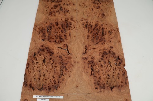 Wiąz Kaukaski Caucasian Elm drewniany top na gitarę guitar top