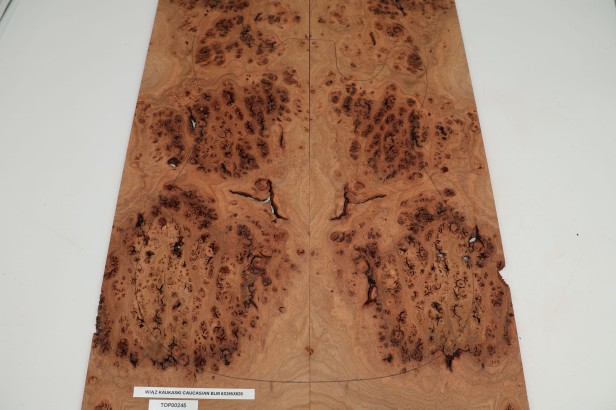 Wiąz Kaukaski Caucasian Elm drewniany top na gitarę guitar top