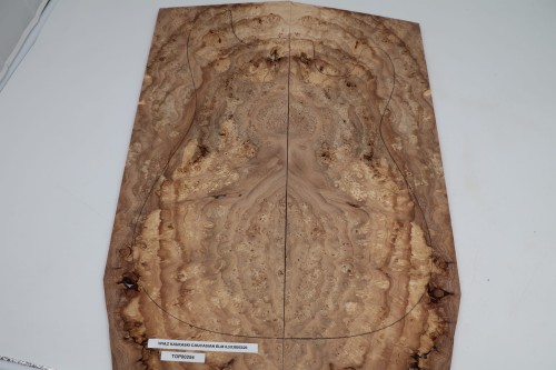 Wiąz Kaukaski Caucasian Elm drewniany top na gitarę guitar top