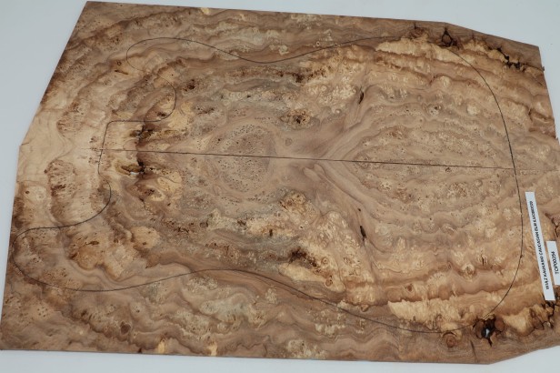 Wiąz Kaukaski Caucasian Elm drewniany top na gitarę guitar top