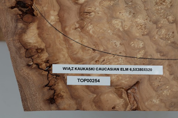 Wiąz Kaukaski Caucasian Elm drewniany top na gitarę guitar top