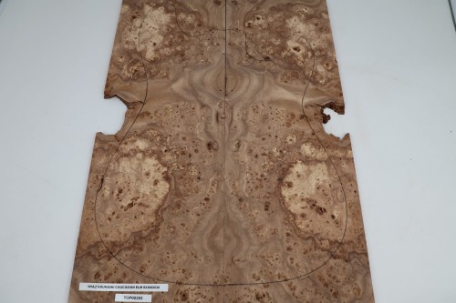 Wiąz Kaukaski Caucasian Elm drewniany top na gitarę guitar top