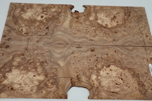 Wiąz Kaukaski Caucasian Elm drewniany top na gitarę guitar top