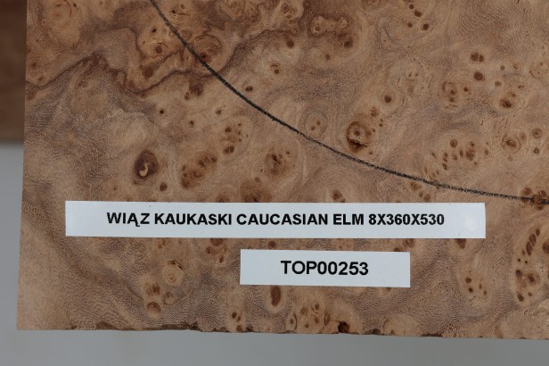Wiąz Kaukaski Caucasian Elm drewniany top na gitarę guitar top