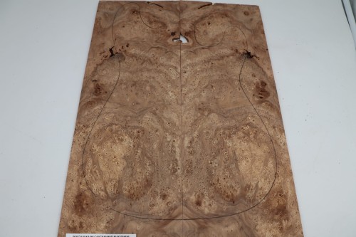 Wiąz Kaukaski Caucasian Elm drewniany top na gitarę guitar top